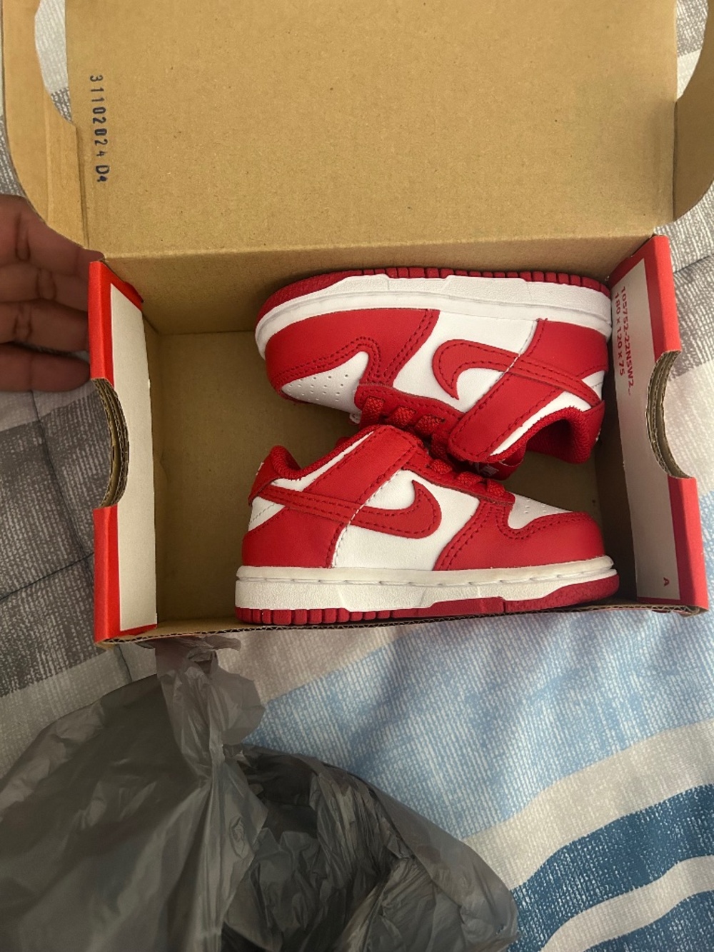 Red Nike dunk